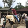 2017 Horseback Riding
